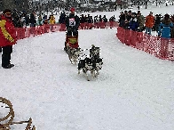 2003 schlittenhunde008.jpg